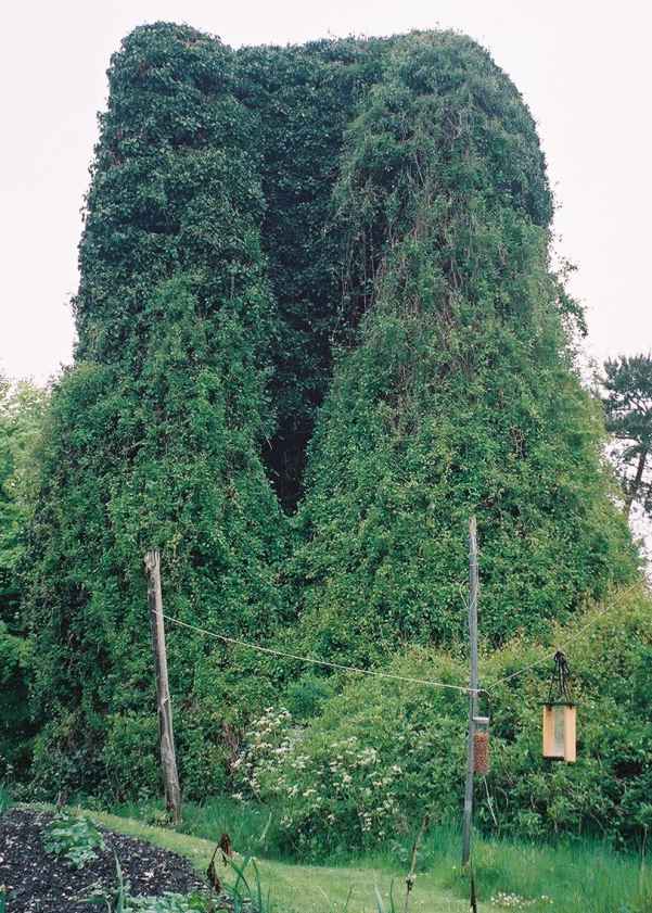 Facing west from the body of the church.