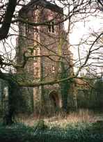 Wild England encroaches - Mickfield tower 2003.