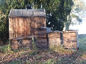 horse box and bee hives
