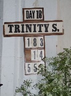 Trinity S.
