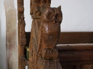 owl