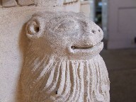 cheerful little lion