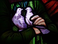 two purple doves
